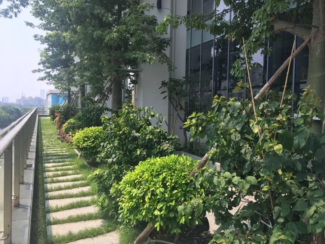 入驻嘉华互联网中心,享受专属的空中楼阁._花园