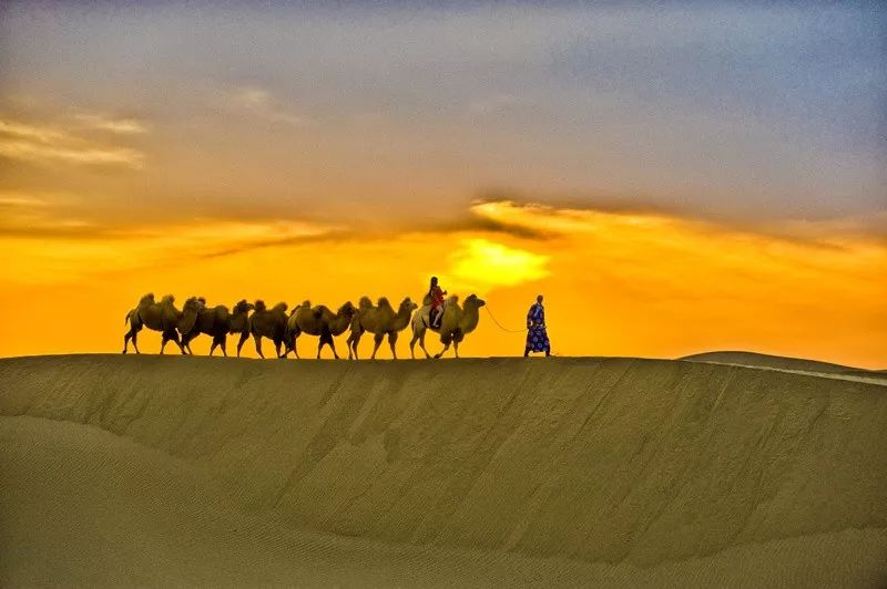 金色童话-额济纳旗西北六省专列14日