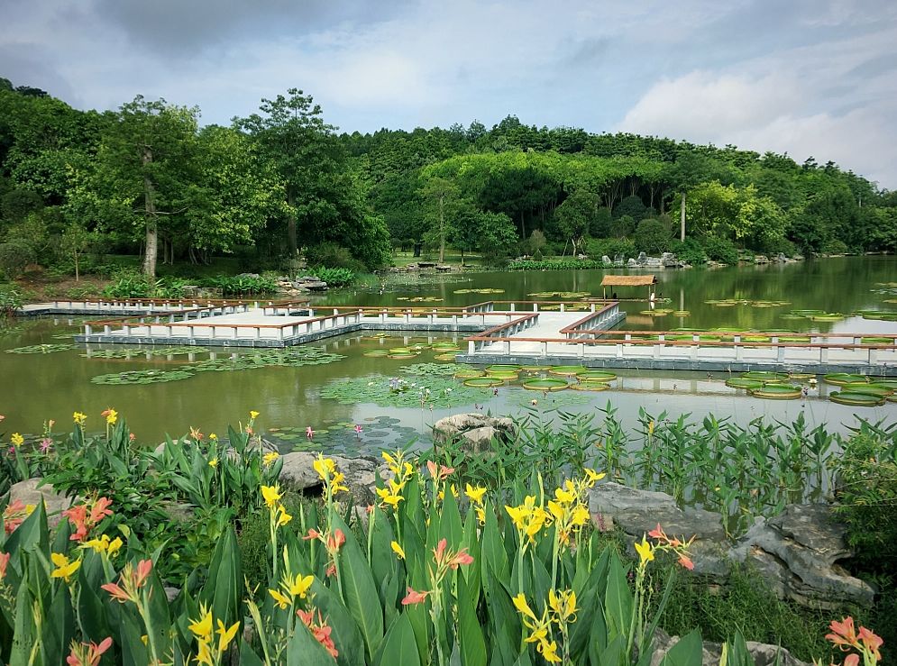 夏天去哪裡玩？漂流、堆雪人、賞花、摘果！南寧這裡值得你夏天去浪！ 旅遊 第14張