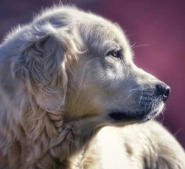 035c8b9ede384d8aa88df4a1f7acb640.jpeg