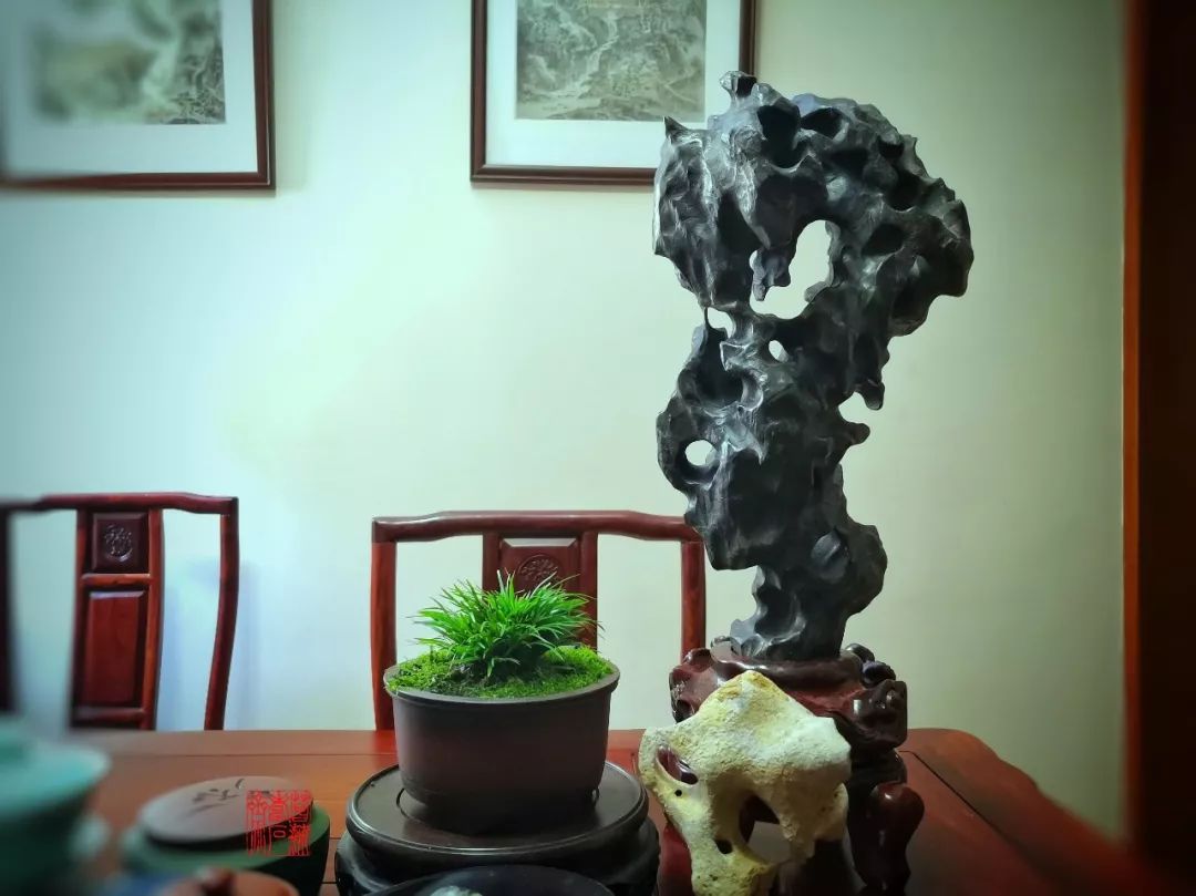 菖蒲度夏的上下策