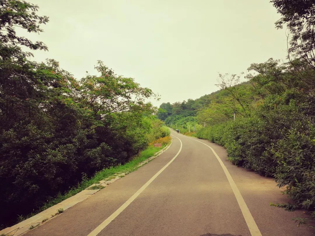 随手拍风景照片 100b4002972244c9949cf0de1cd45e87.jpeg