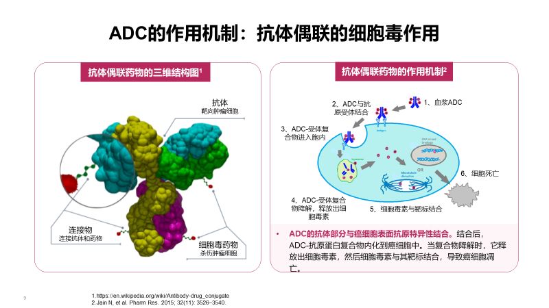 抗体偶联药物(adc)的小春天