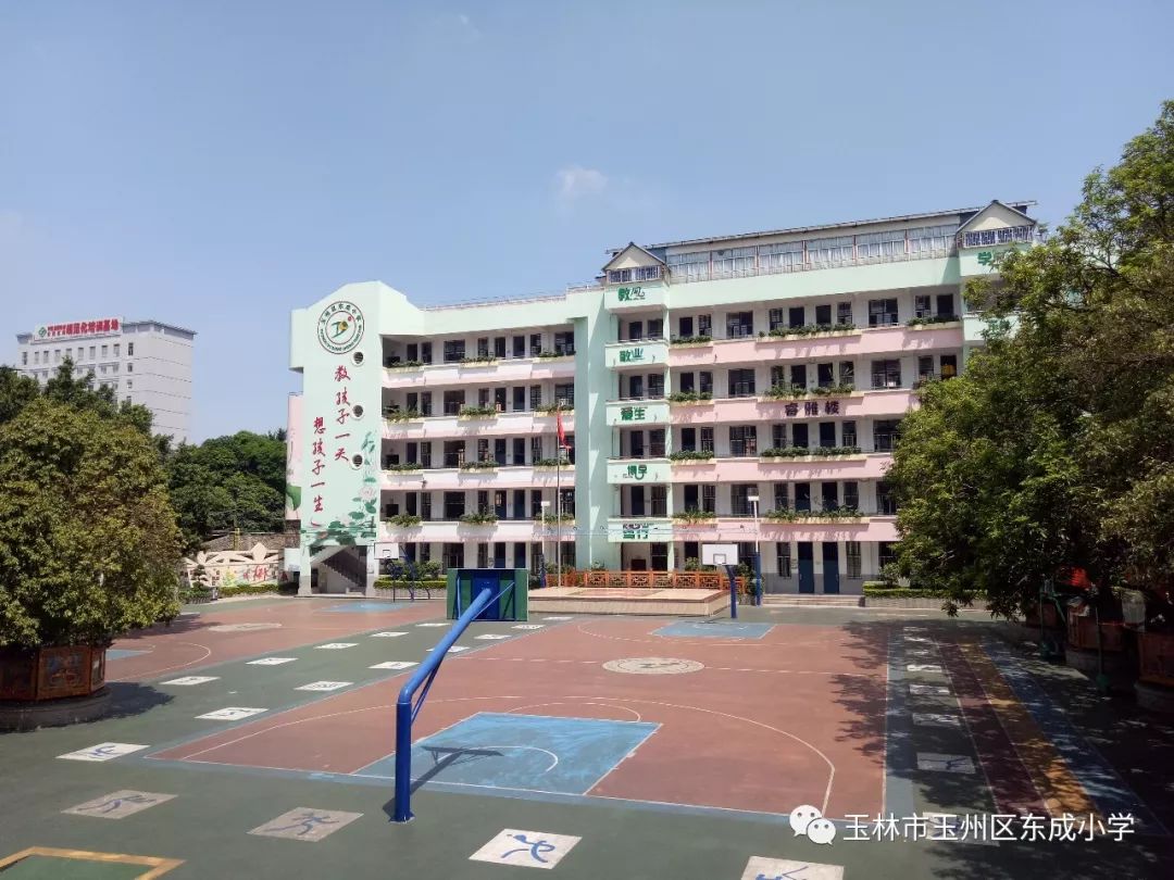 玉州区东成小学2019年秋招生简介