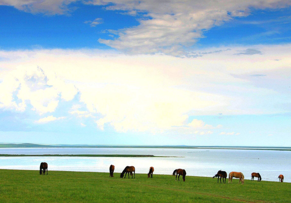 国内四大淡水湖泊 21e9c39b6c7742229bb9db113cb52fe2.jpeg