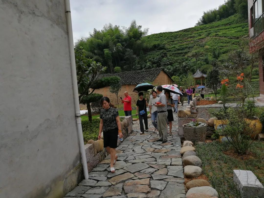东阳市夏季乡村旅游节开幕啦快来鹤溪嗨玩整个夏天