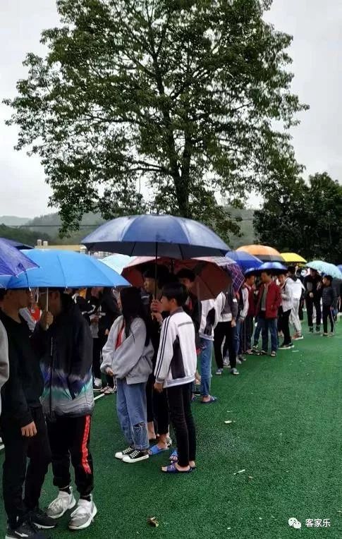 报捷祝贺秀篆中学2019届中考取得可人佳绩
