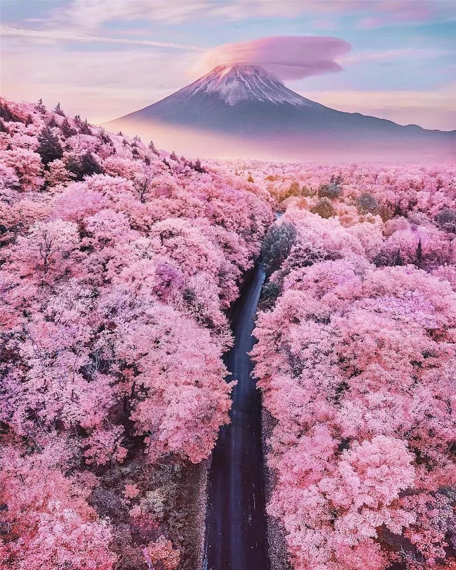 世间最美的风景在路上 48bf4056664d40a6a8c1725593740df4.jpeg