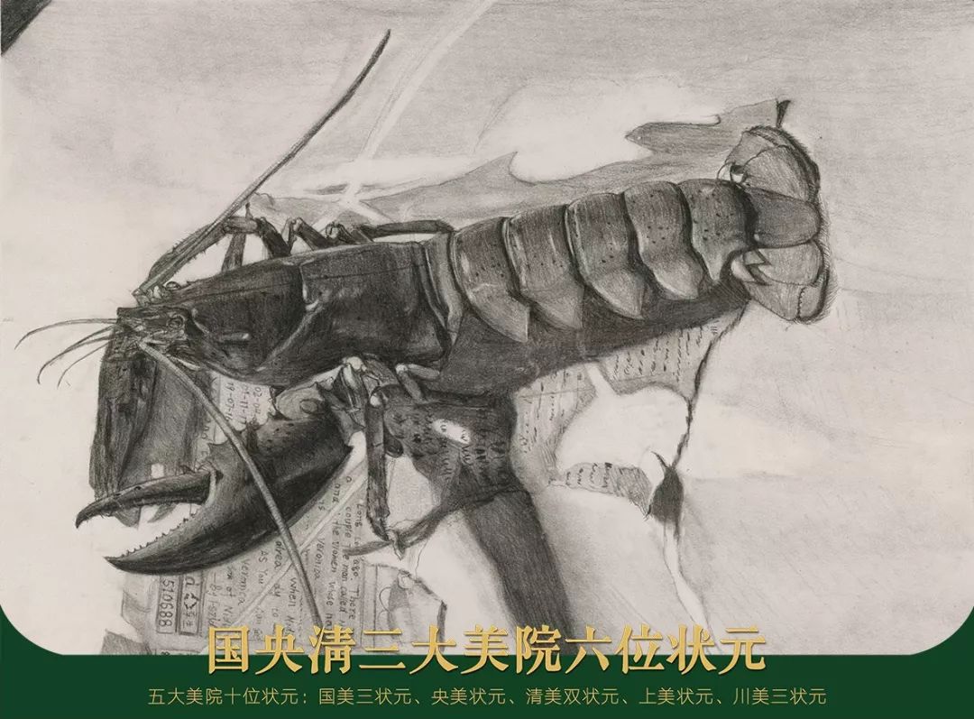 6课时,把素描画出新高度——孪生名师校区新生作品!