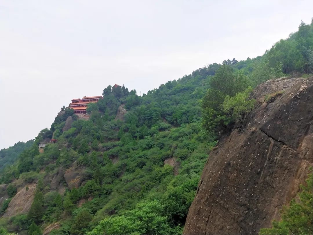 空山鸟语动态曲谱_秦时明月空山鸟语图片(2)
