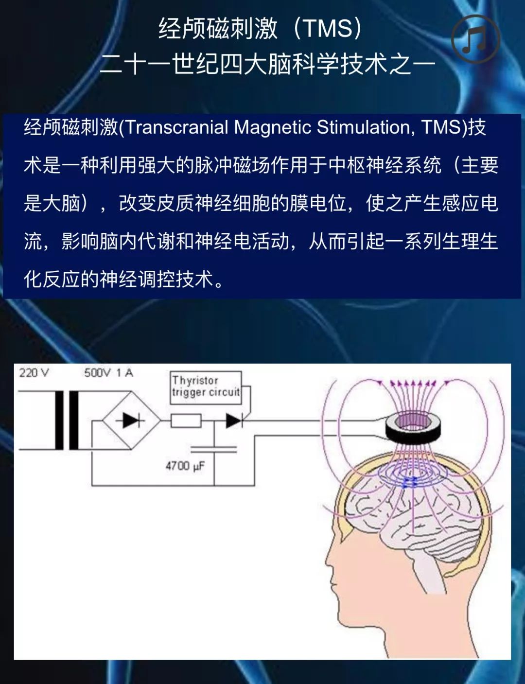 医院a幢六楼会议室 培训内容:理论 实操 1,经颅磁刺激技术基本理论 2