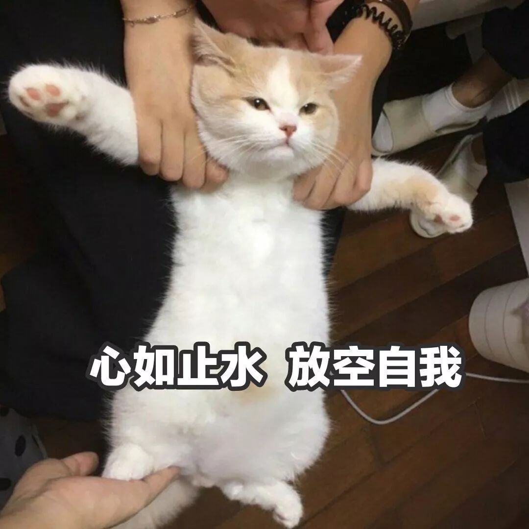 55e172e7f8264ef69c66ba81d0ce12b3.jpeg