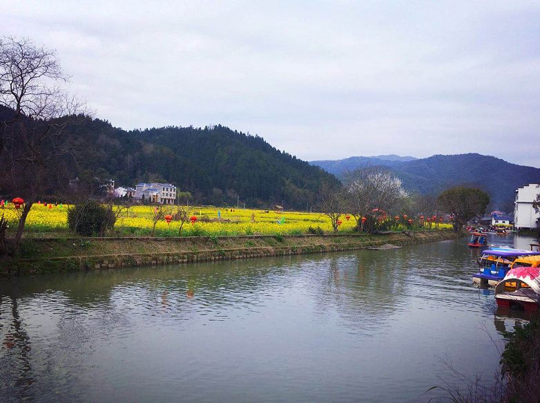 江西莲花县人口_江西莲花县地图