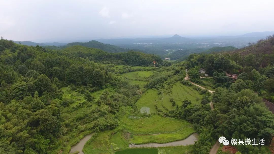 泮沥村人口_祥谦大道规划图泮洋村(3)