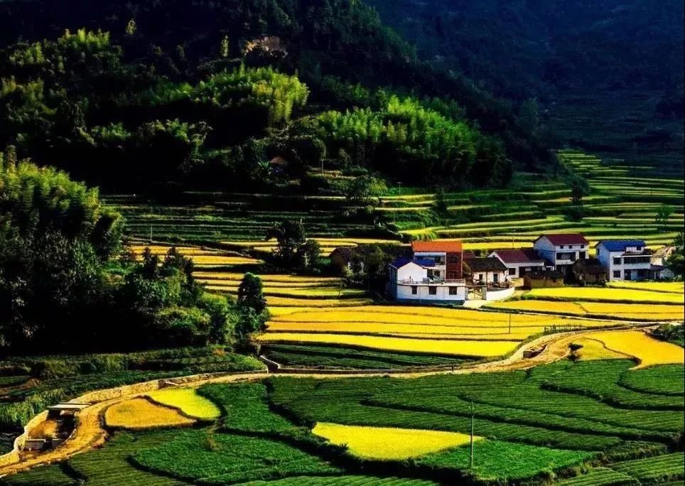 还有那"西河十八湾""东河百里秀"的美丽田园风光,蜿蜒的道路,如镜的