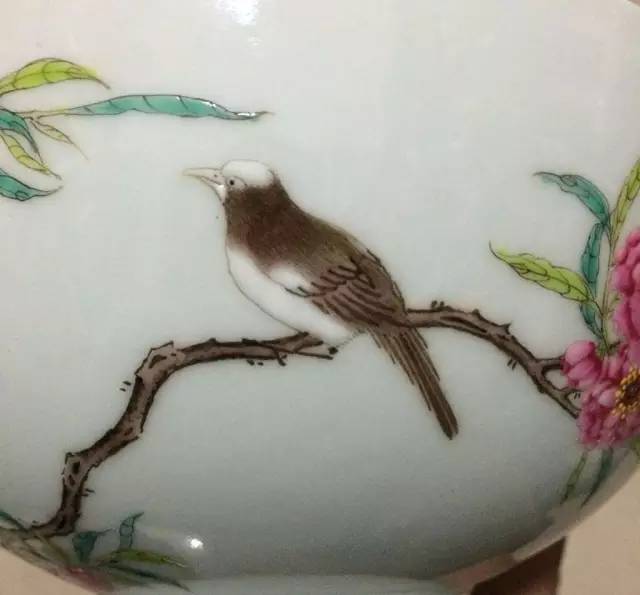 ▼白头翁鸟,寓意白头富贵