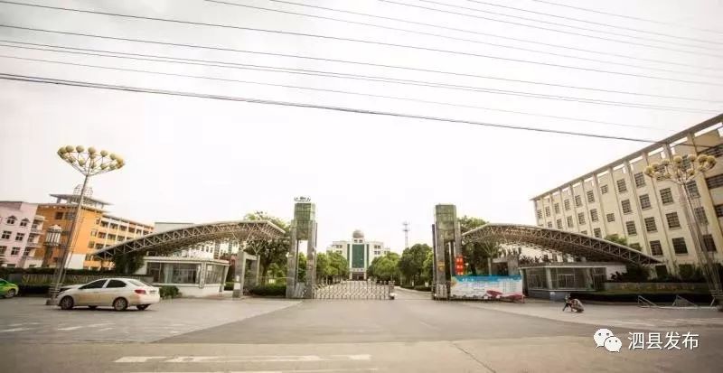 头条上榜泗县这所学校入选先进集体快看是你母校吗