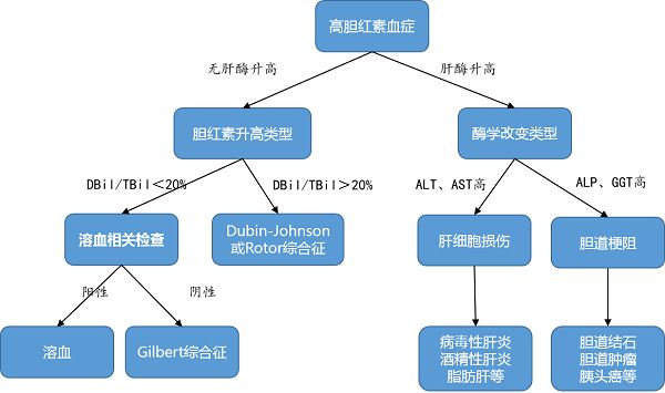 肝功能gdp_复查过肝功能的进来看一下 国内航空 kongjie.com