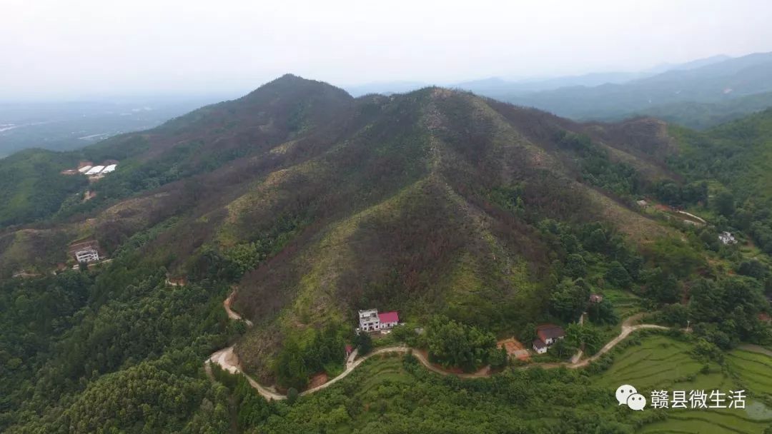 泮沥村人口_祥谦大道规划图泮洋村(2)