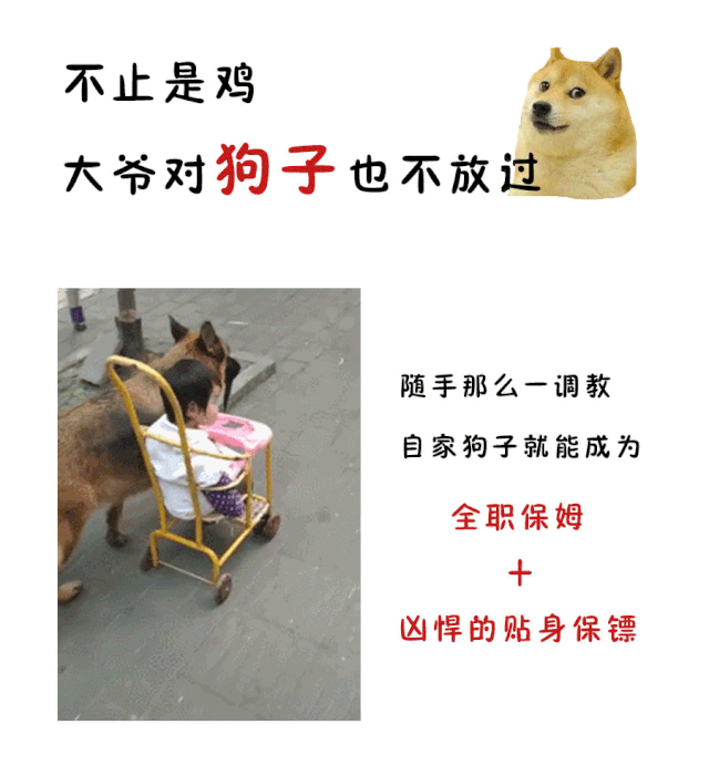 天津大爷真是太太太太太太太哏儿了