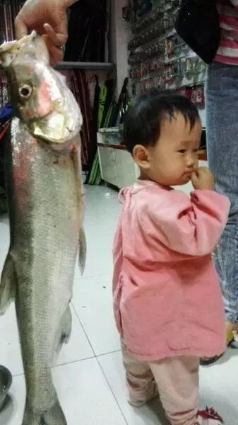 71e5ef6a84e140cf9931ef396fe302a1.jpeg