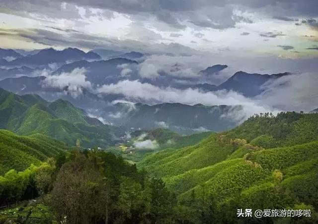 莫干山素以竹,云,泉"三胜"和清,静,绿,凉"四优"而驰名中外.