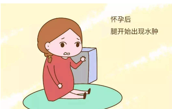                     孕期什么阶段易水肿？水肿后该怎么办？