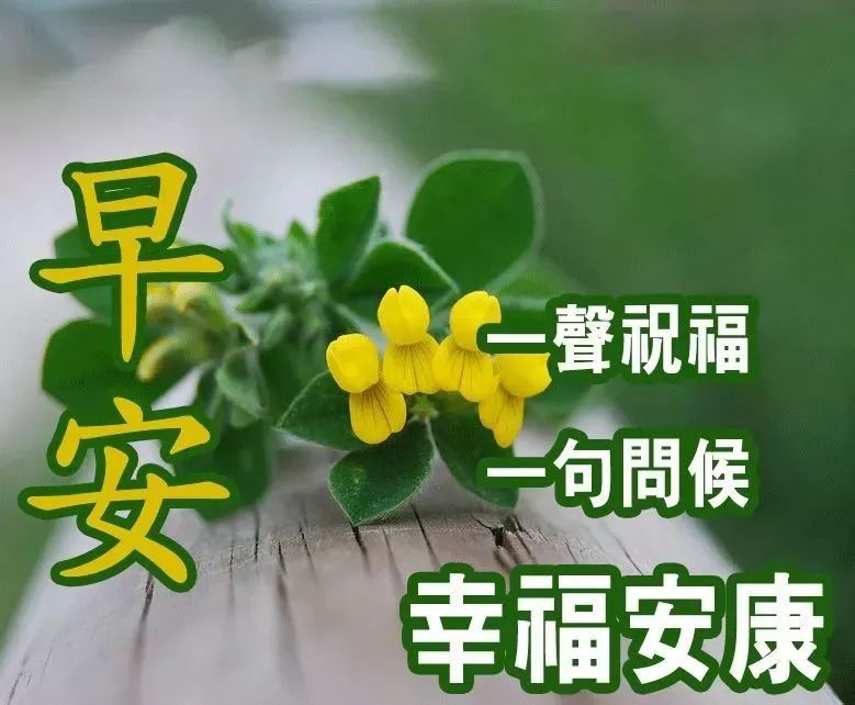7月21日星期日早上好问候语图片 早上祝福语阳光表情动图
