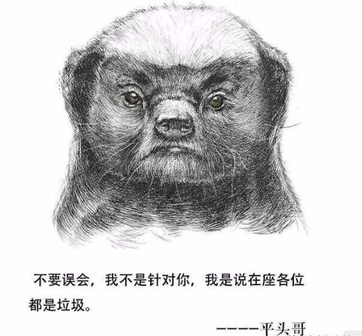 非洲网红平头哥:我没有仇人,有仇我当场就报了