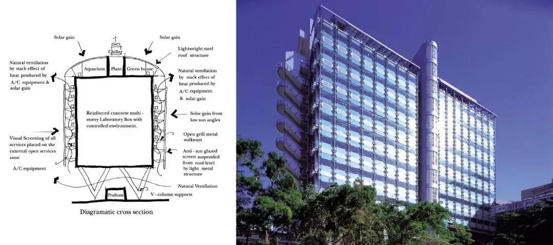 四大标志性建筑——嘉道理楼 香港大学嘉道理生物科学大楼曾荣膺过