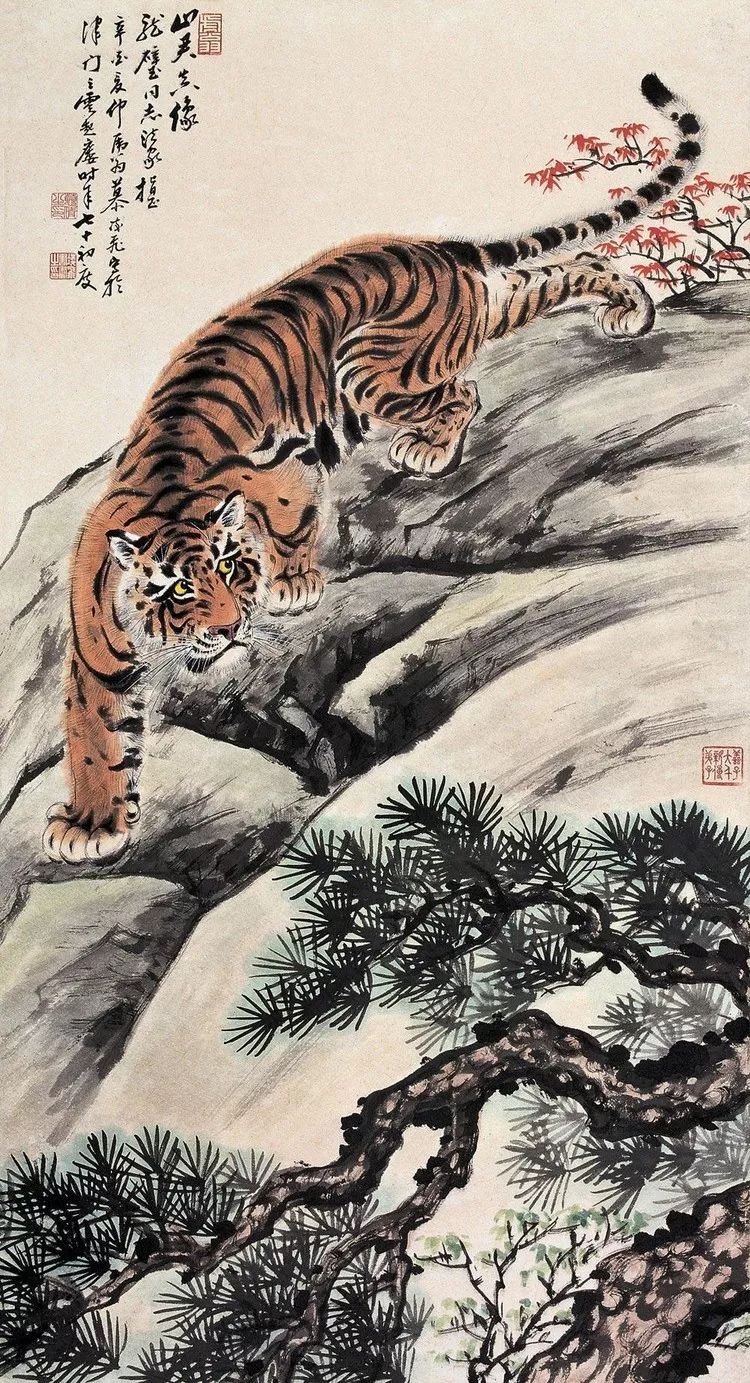 慕凌飞|得张善孖,张大千亲授四年,尤擅画虎