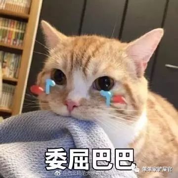 932925340286456fb8d2a808148c5a5f.jpeg