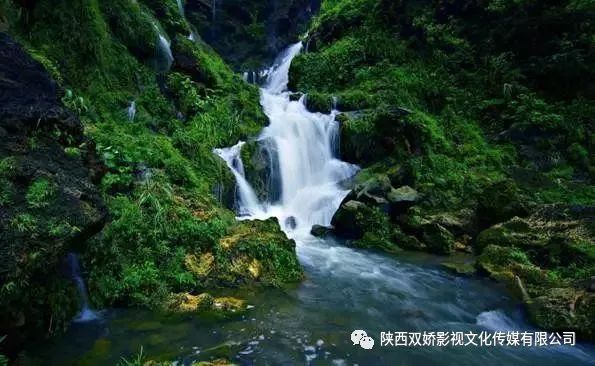 茶道与茶诗（推荐收藏）