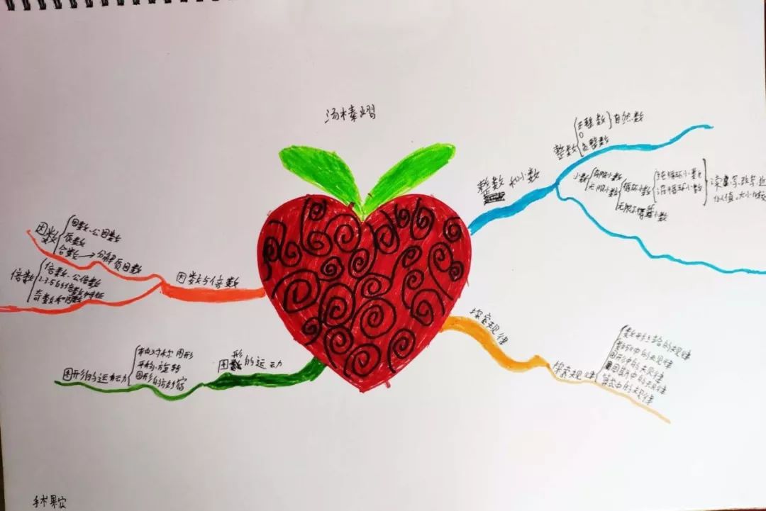 小小年纪就把学科思维导图画成这样成绩不好都不行