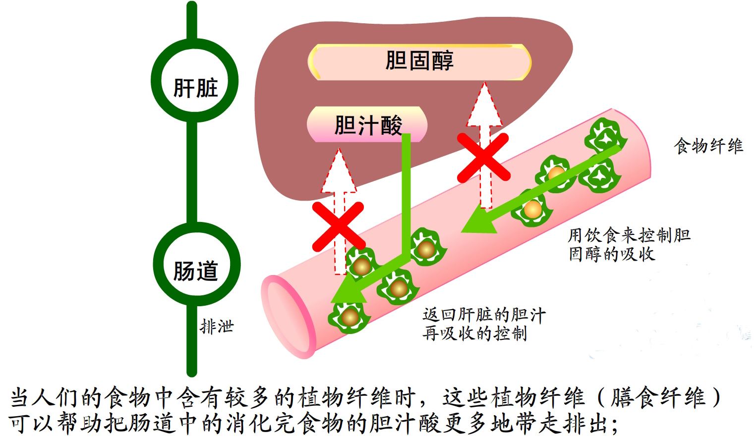 肝功能gdp_复查过肝功能的进来看一下 国内航空 kongjie.com