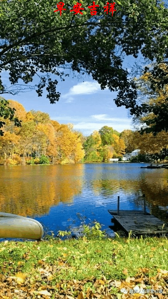 564_1002 竖版 竖屏