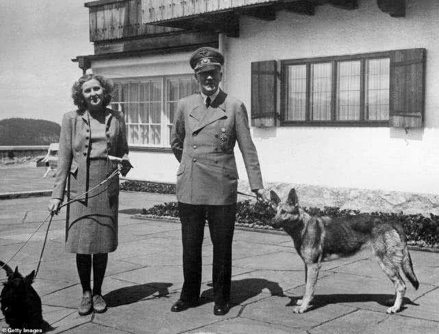 原创希特勒的情妇和爱犬最忠于他的一人一狗为何双双服毒死