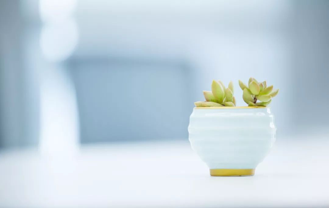 自从把小孩当植物来养后,整个人都好多了