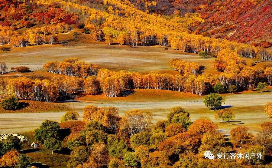 【醉美金秋】9月13日乌兰布统 蛤蟆坝 天太永,赴一场金秋盛宴,休闲