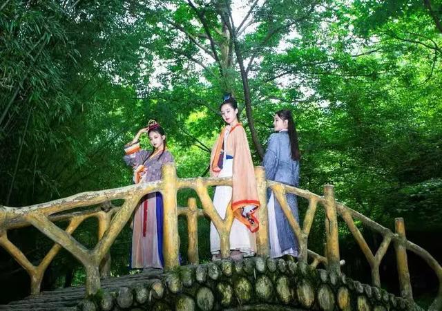 什么季节去老君山合适 d5c9e0a68a17453ba1b394d56b799e05.jpeg