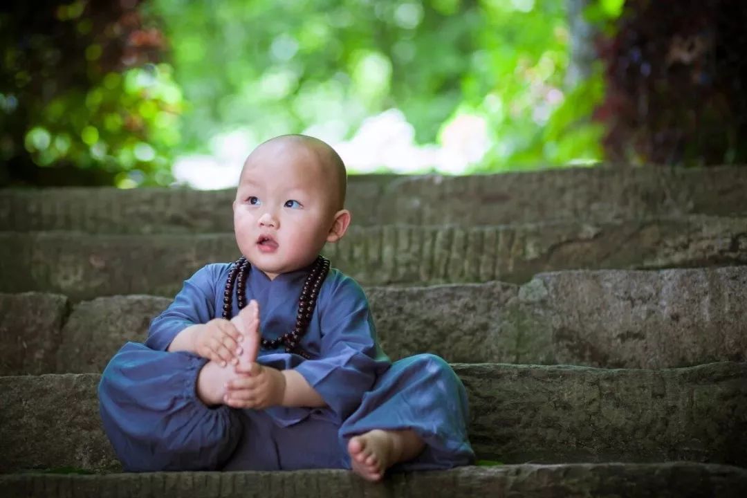 【荐读】万般皆苦,唯有自渡!