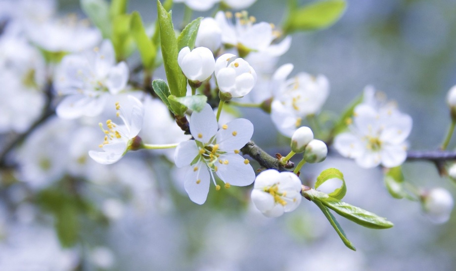 心直口快,此3个生肖女天生是直肠子,藏不住事