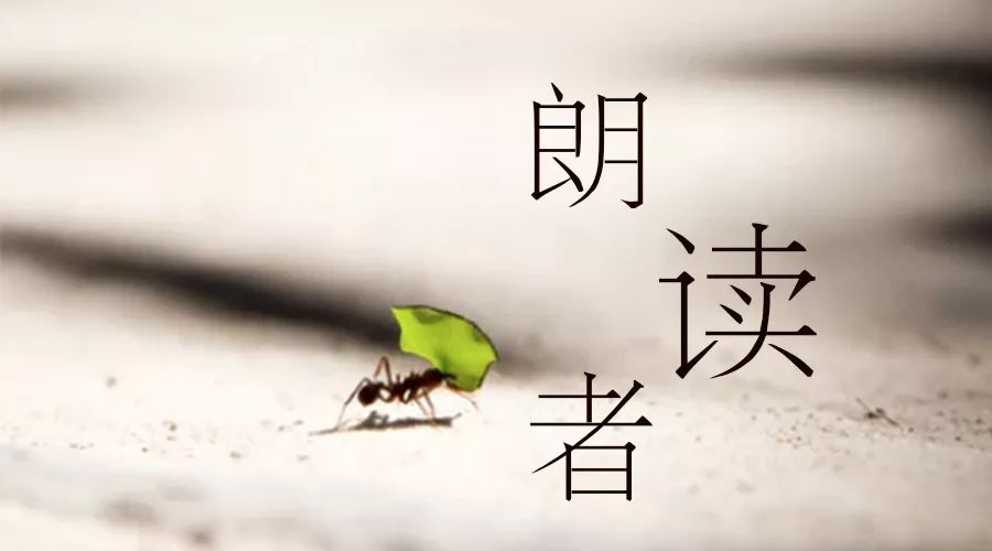 萤火虫少儿英语四五六年级朗读者第10期强势来袭