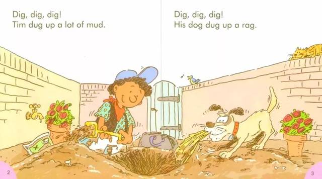 蒂姆挖出很多泥. dig,dig ,dig! 挖,挖,挖! his dog dug up a rug.