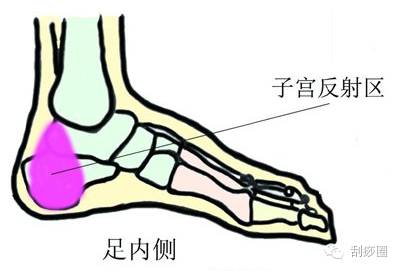 每天坚持用温水泡脚疏通经络,泡完脚后,在脚跟内侧凹陷处的子宫反射区