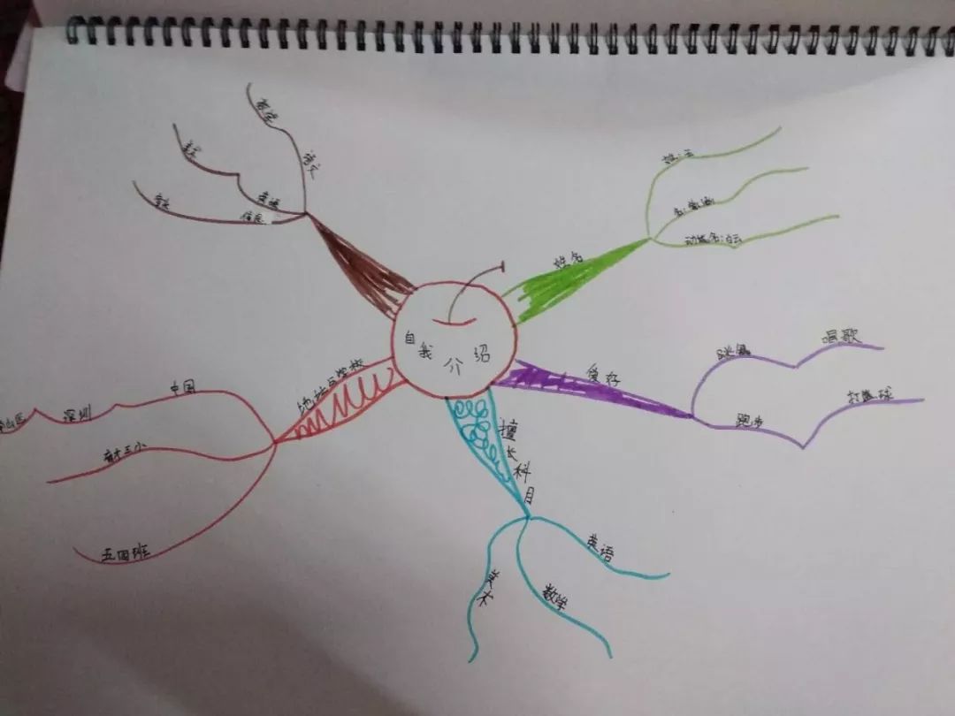 小小年纪就把学科思维导图画成这样,成绩不好都不行