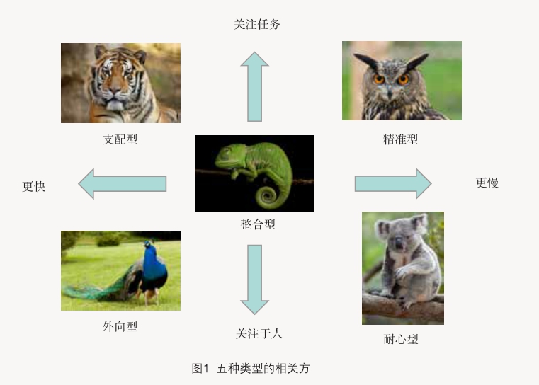 人口导向型_导向型视觉流程图片(2)