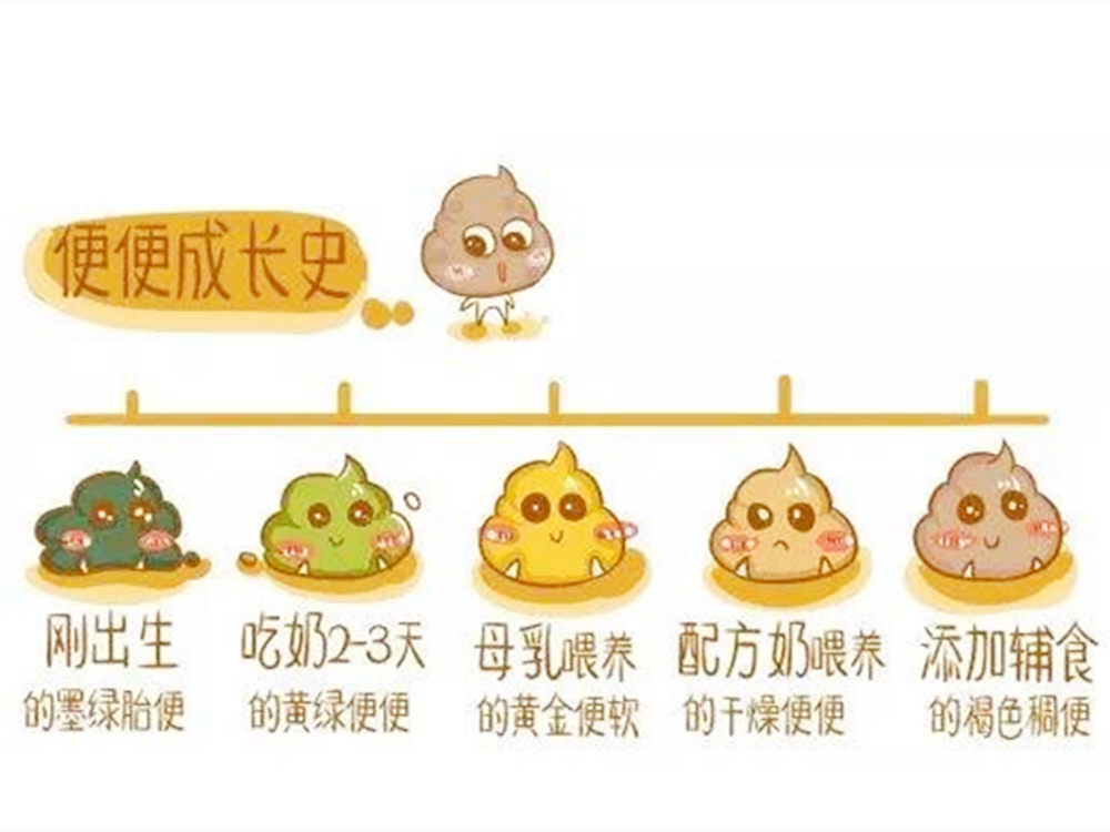                     原创            如何通过大便判断宝宝的异常情况？这些情况，新手爸妈要了解