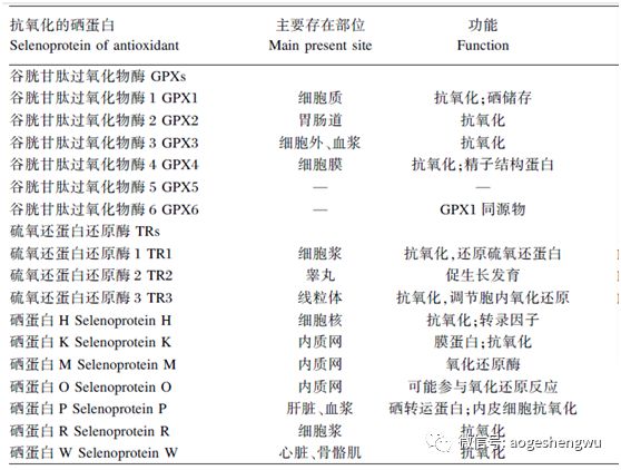 抗氧化原理是什么意思_抗氧化是什么意思(2)