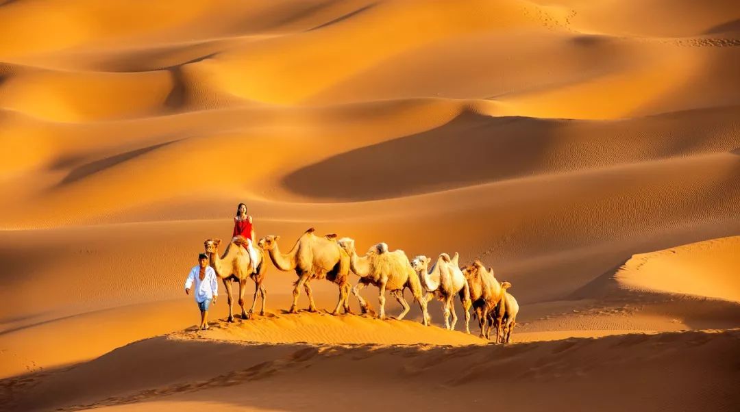 第一次来新疆怎么玩?乔戈推荐北疆.